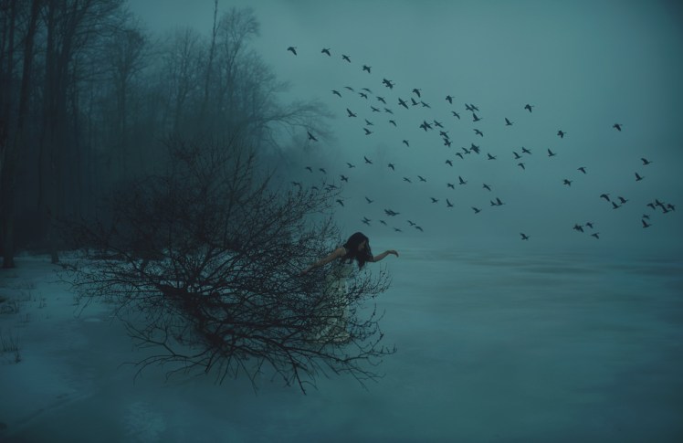 17063708080_ae29b9d6bf_b